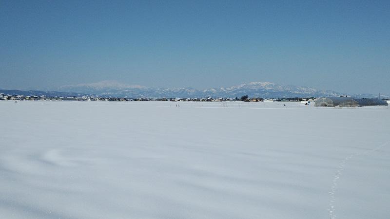 田んぼ雪①月山と葉山.jpg