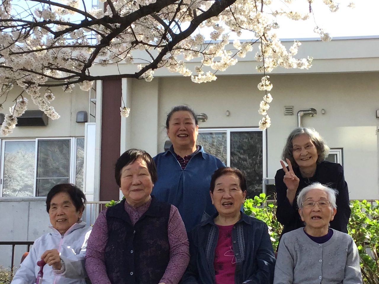 お花見の様子